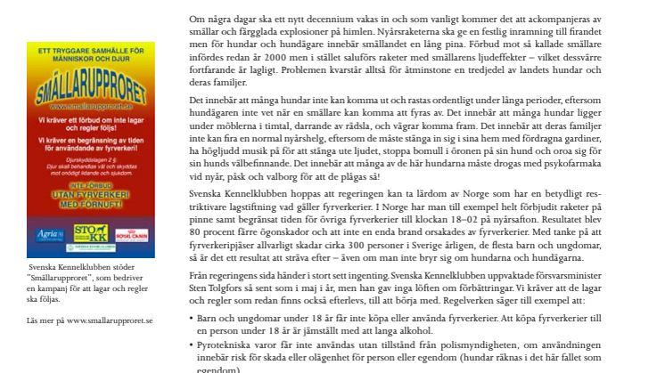 Nyår – hundens helvetesafton
