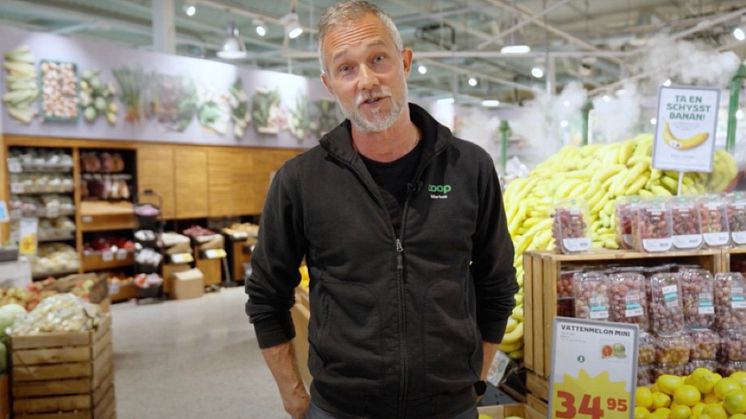 Marcus Wahlgren, Stora Coop Visby