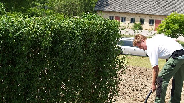 Färdig häck - färdigt resultat direkt!