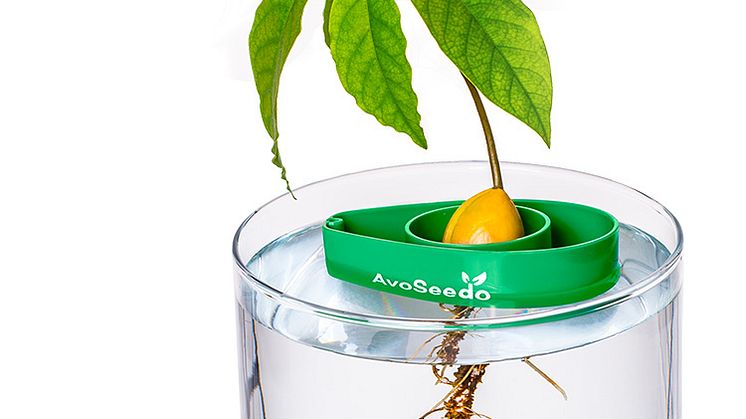 Julklappstips: 10 smarta klappar under 100 kronor!
