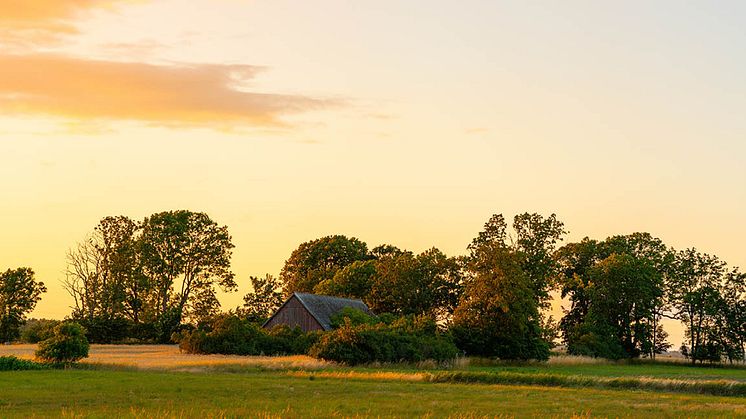 elmarknaden_mars23_1280x650px4