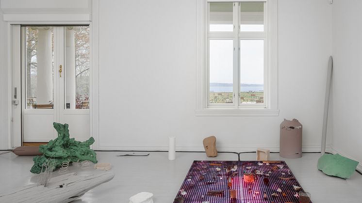Symbiotic Stories_Jakob Oredsson_Galleri F15_06