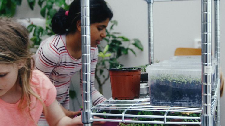 MKB Fastighets AB:s spjutspetsprojekt Greenhouse har blivit film