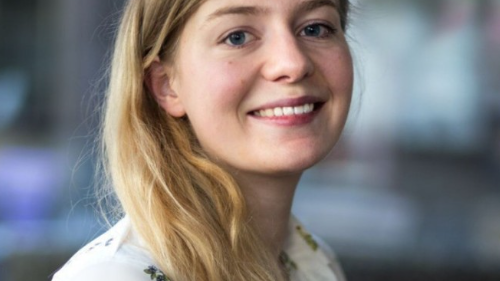 Elenia Wolf, Marketing Scompler