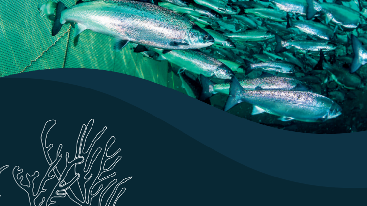 Aquaculture at Akvaplan-niva brochure English