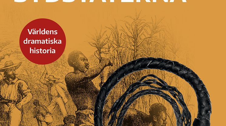 Slaveriet i sydstaterna