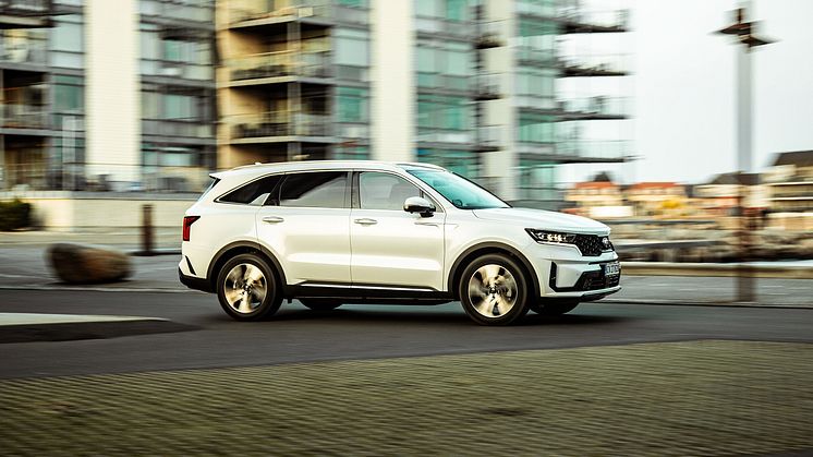 Kia_Sorento_Hvid_Dynamisk_34