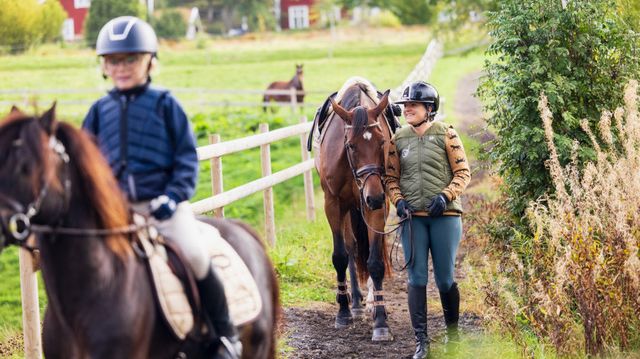 Dunstan vill förenkla hästgårdslivet