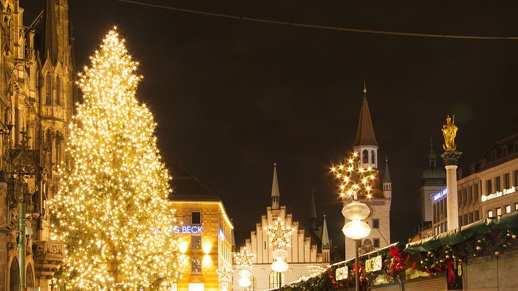 11. Weihnachtsbaum in München