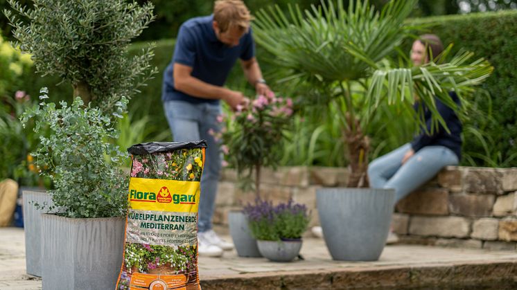 Ideal für die Trendpflanze Eukalyptus: Kübelpflanzenerde Mediterran von Floragard.