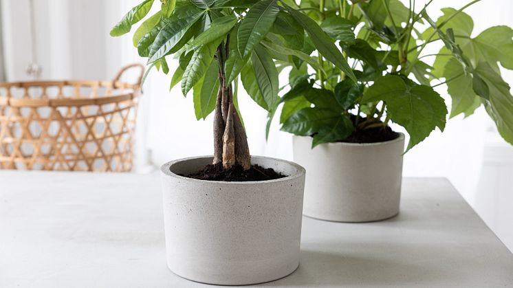 DIY kruka 1