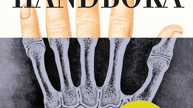Handboka: Alt du vil vite om hendene dine og litt til