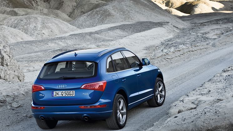 Audi Q5 bag