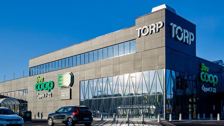 Torp