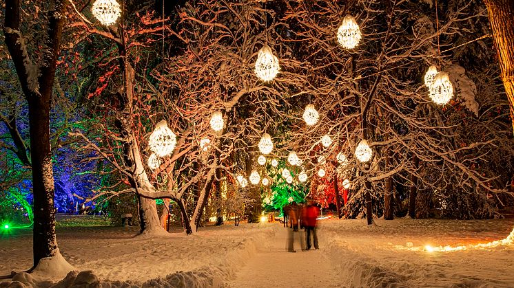 LUMAGICA im Schloss und Park Lichtenwalde (Foto: ASL Schlossbetriebe / MK Illumination)