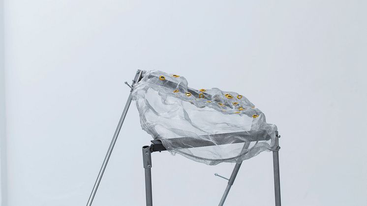 Hanni Kamaly, Ballok (detalj), 2017