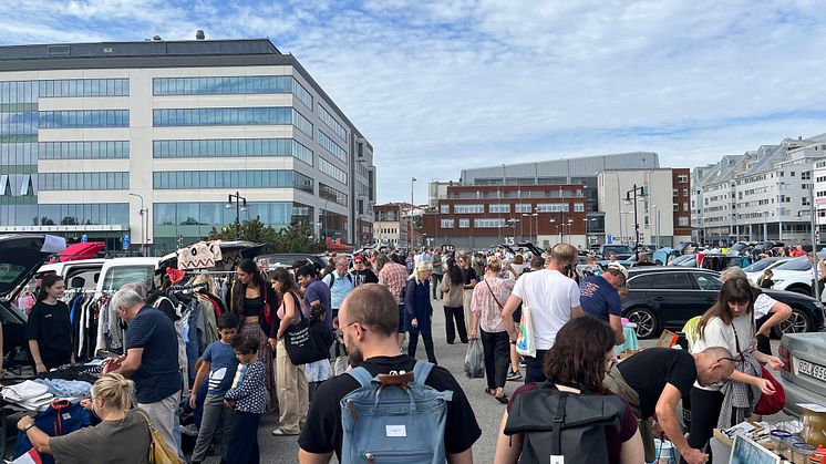 Bakluckeloppis i Värtahamnen