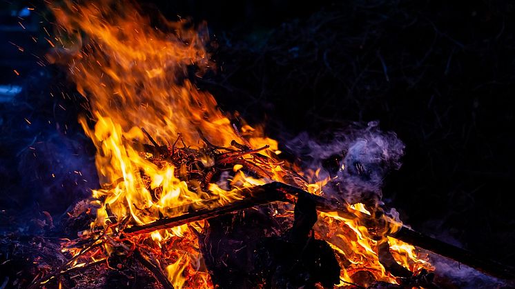 Många djur riskerar att brinna inne på valborg. Foto: TheOtherKev/Pixabay