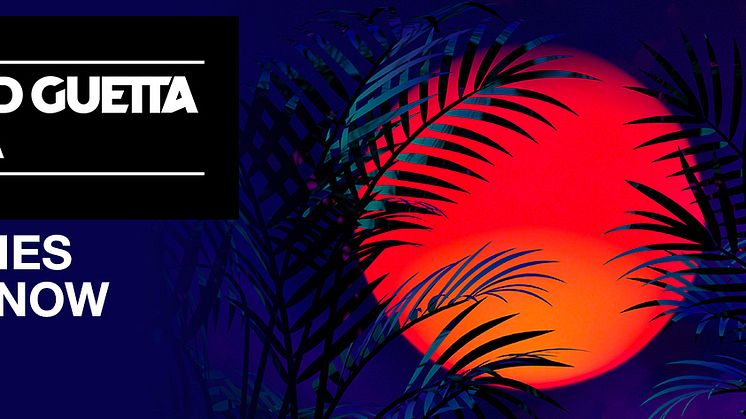 Guetta og Sia i fyr og flamme