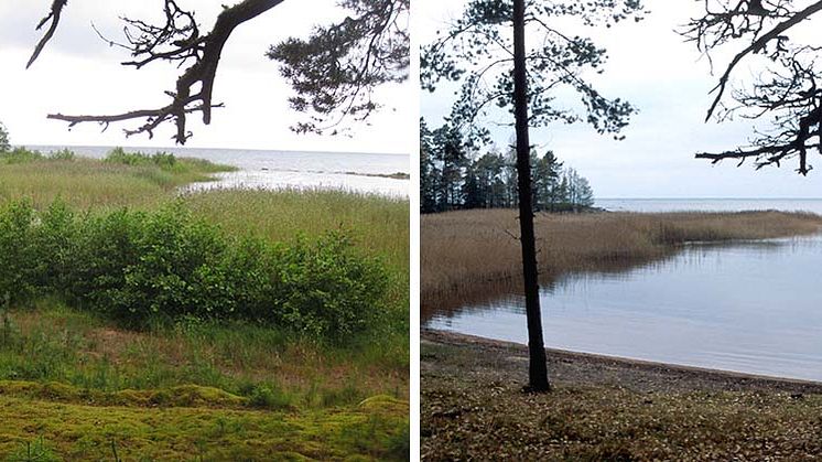 Ny reglering för Vänerns vattennivå