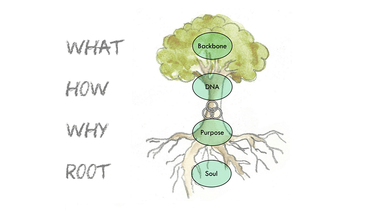 Emprogage as a complex living system with its core functions in the Heart wood of the tree.