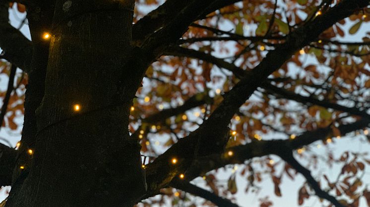 LKF fortsätter lysa upp i  mörkret – med 100% LED