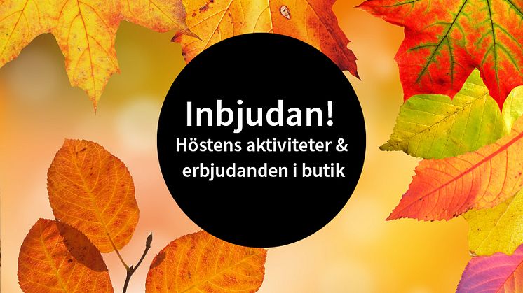 Höstaktiviteter i Procurators butiker