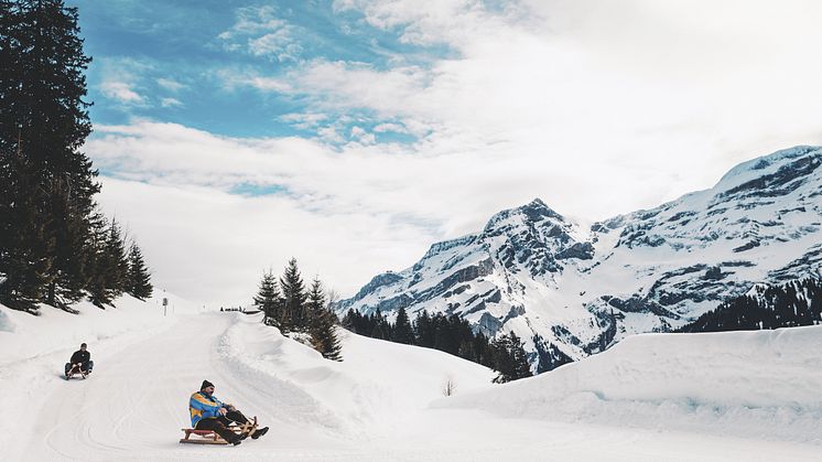 Schlitteln in Les Diablerets