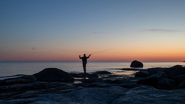 Foto: Lars Molander