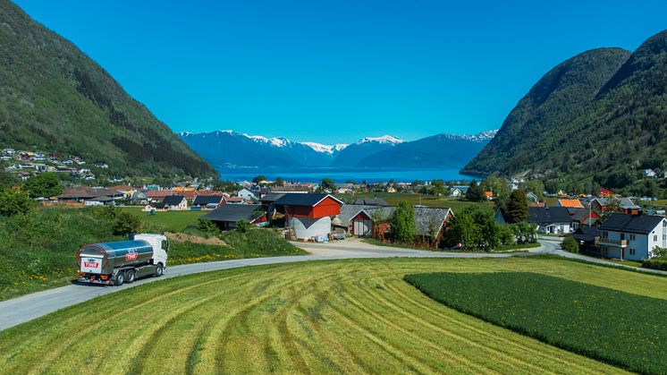 TINE deler overskuddet: Over 1,4 milliarder kroner tilbake til melkebøndene