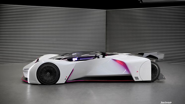 Team Fordzilla P1