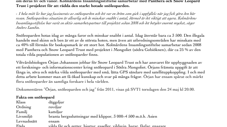 Kolmårdens Insamlingsstiftelse arbetar för snöleopardens överlevnad 