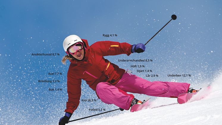 Svenska skidanläggningars skadestatistik 2013-2014