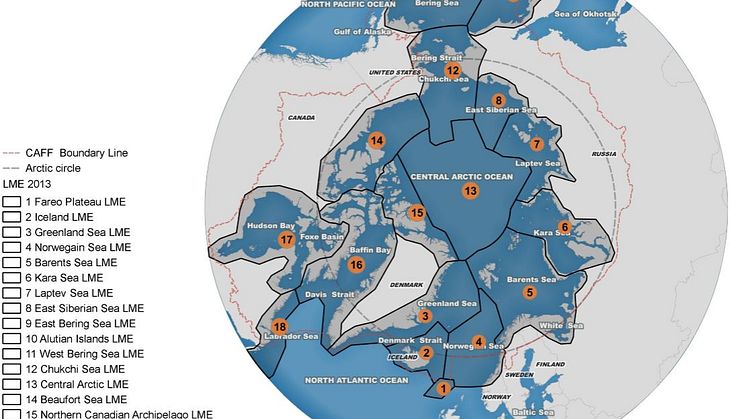 Marina experter samlas: ”Arktis vatten behöver ökat skydd mot klimatförändring och havsförsurning”