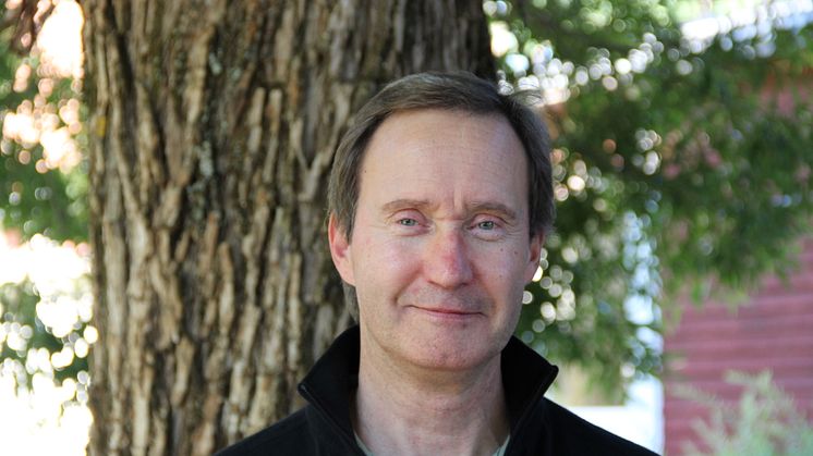 Patrik Andersson