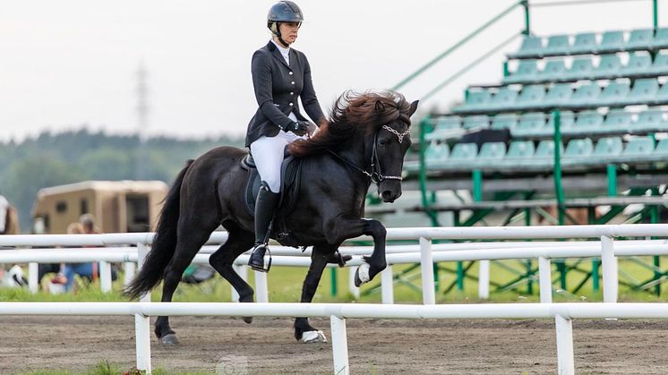 Sara Kilsgård på hästen Vilja under SM 2023.