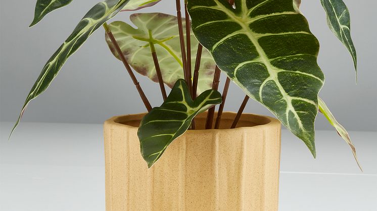 Blumentopf TROELS Freisteller mit Pflanze