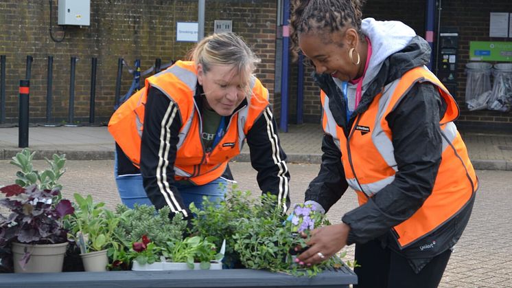 Govia Thameslink Railway staff have been busy brightening up the station with floral displays - more images available to download below