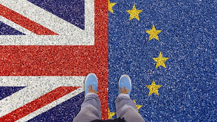 Brexit trådte i kraft for næsten et år siden, men mange danske virksomheder risikerer stadig at overse britiske lovændringer, og det kan blive tidskrævende og dyrt.