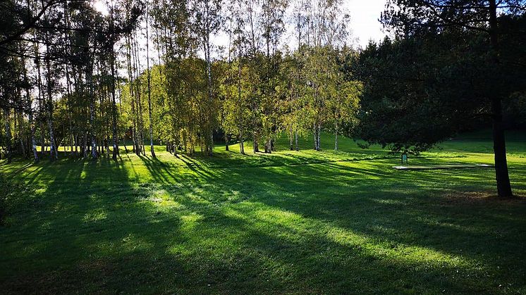 Plats för planerad ceremonibyggnad ( bild 1 - före visualisering)