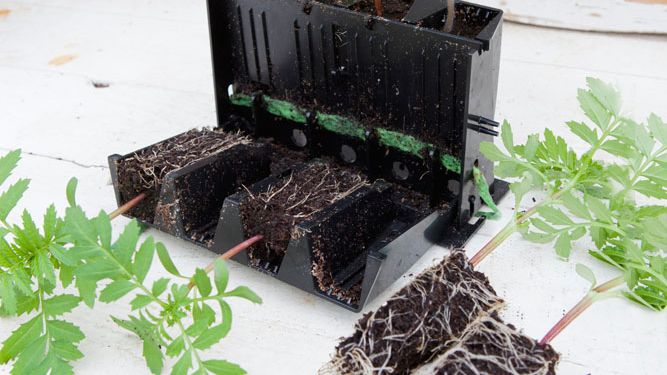 Rootmaster årets trädgårdsprodukt 2014 finns på Blomsterlandet