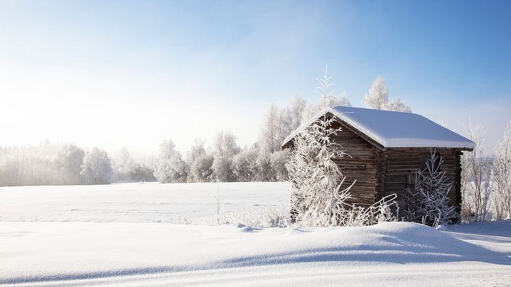 Vinter i Dalarna 