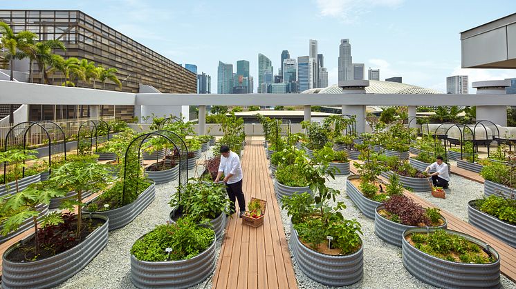 Urban Farm-A_PRCOL Marina Bay (24736406)
