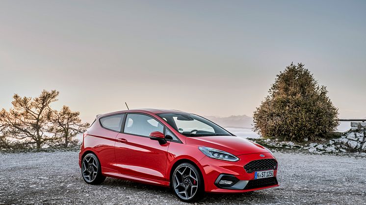 Fiesta St
