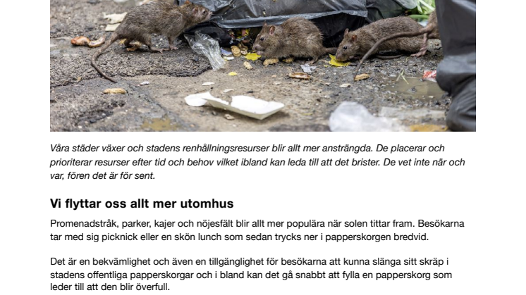 Skräp föder råttinvasion i staden