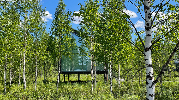 Våra land rum ligger längst älvskanten mellan björkarna.