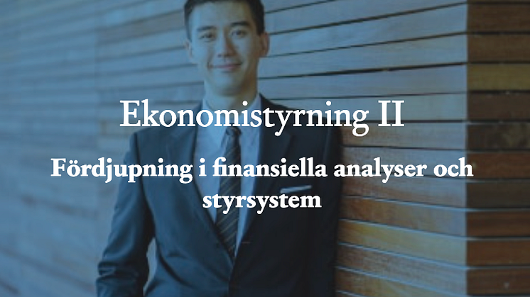 Ekonomistyrning 2