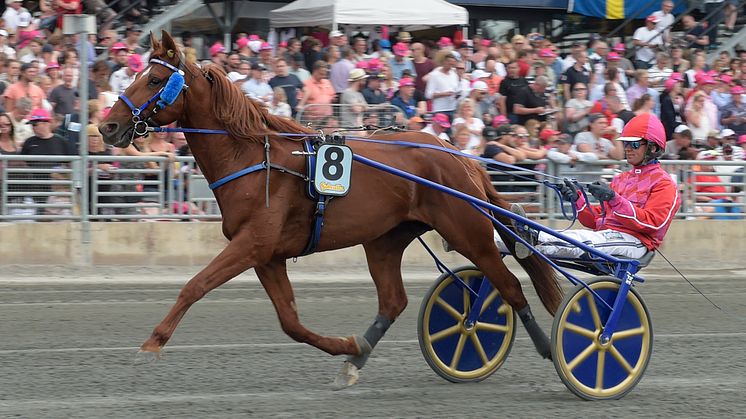 Dreammoko inbjuden till Elitloppet