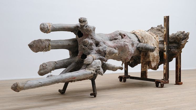 Berlinde De Bruyckere - Embalmed Twins II, 2017