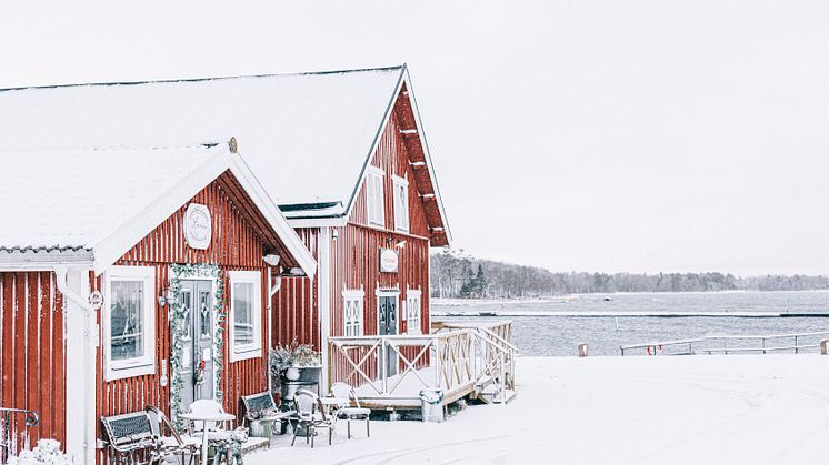 nyhetsbrev december